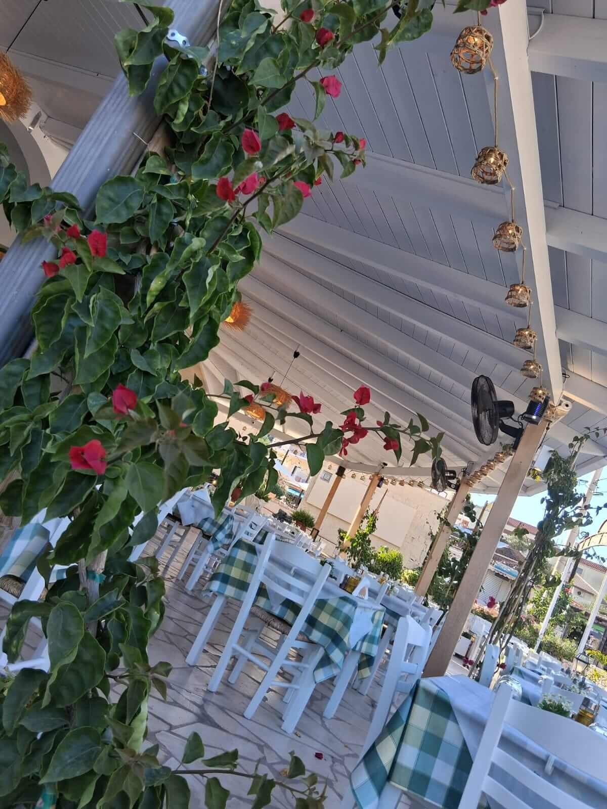 estia restaurant zakynthos tsilivi